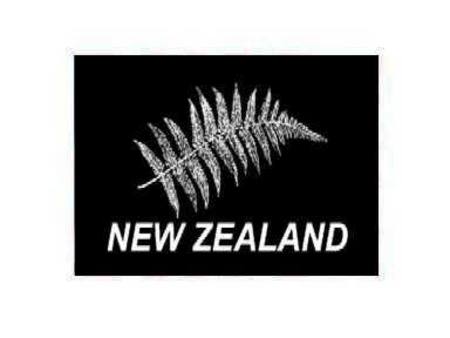 NEW ZEALAND FERN FLAG