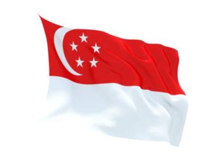 SINGAPORE FLAG*