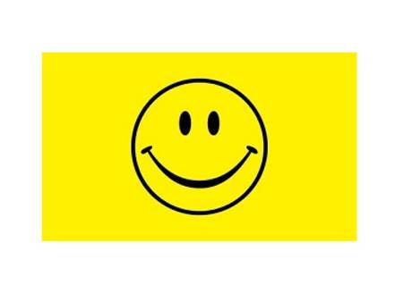 Buy SMILEY FACE FLAG* in NZ. 