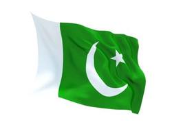 PAKISTAN FLAG*