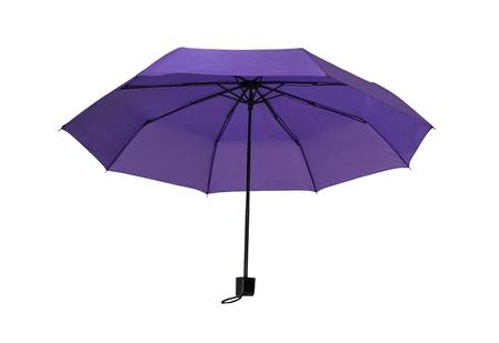 PURPLE BAG UMBRELLA