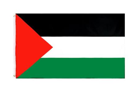 Buy PALESTINE FLAG in NZ. 