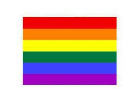 RAINBOW FLAG*