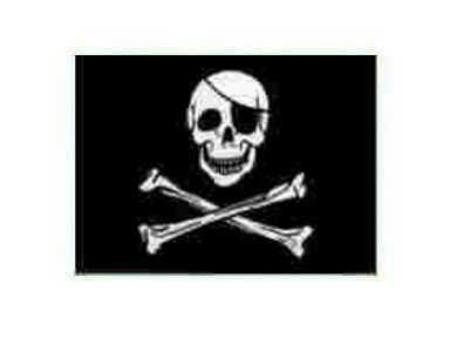 Buy SKULL AND CROSSBONES (JOLLY ROGER) FLAG in NZ. 