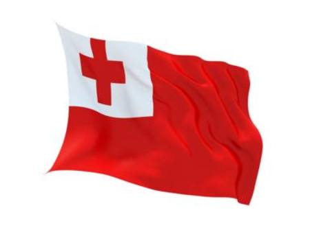 Buy TONGA FLAG in NZ. 