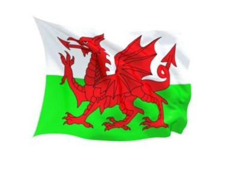 Buy WALES FLAG in NZ. 