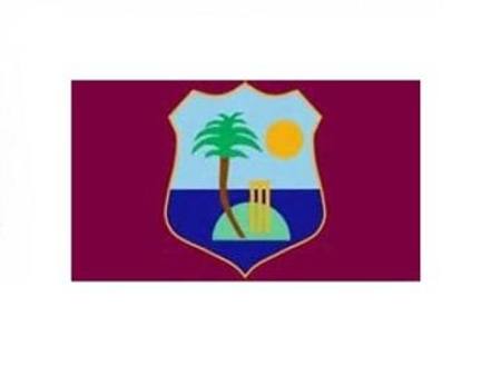 Buy WEST INDIES CRICKET TEAM FLAG* in NZ. 